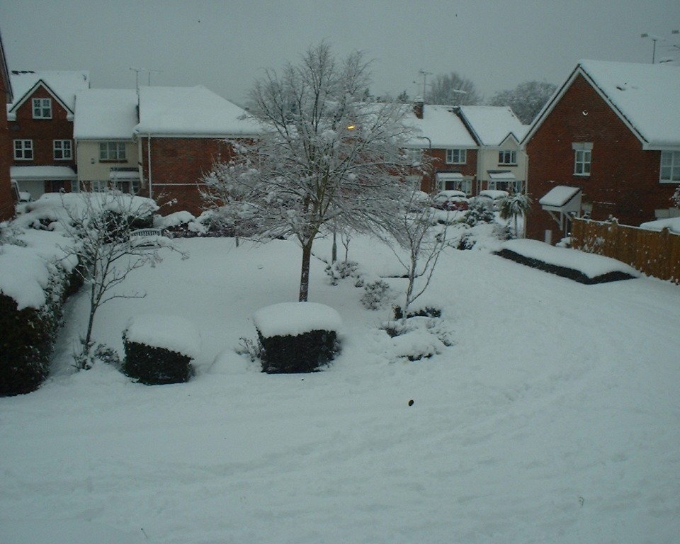 Snow in Farnham