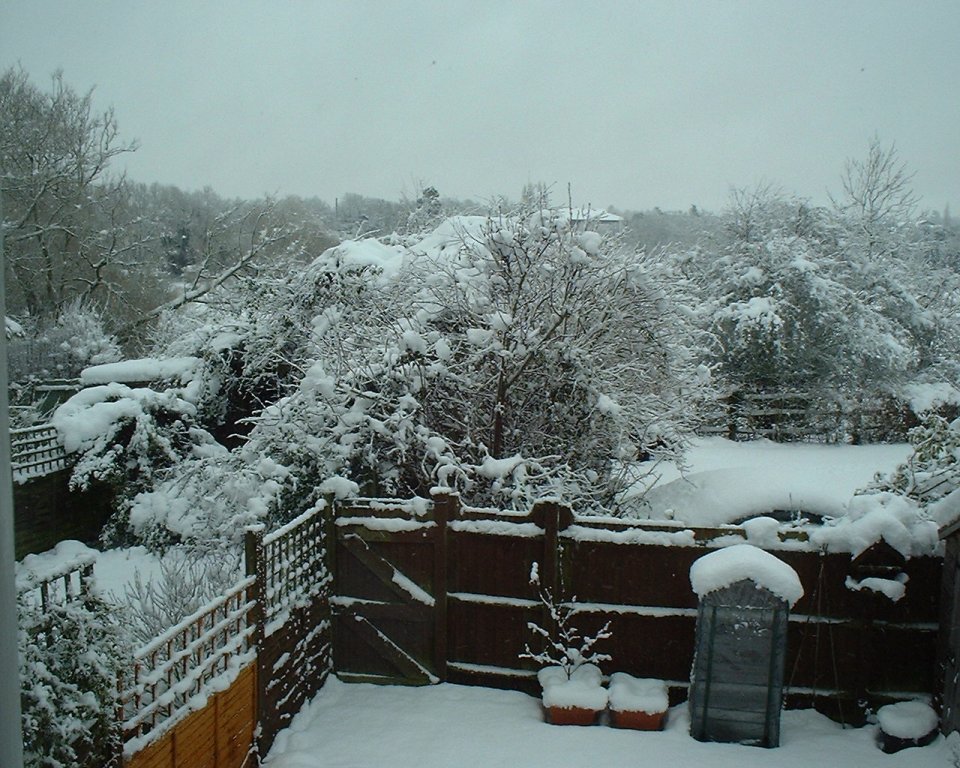 Snow in Farnham Castle Street